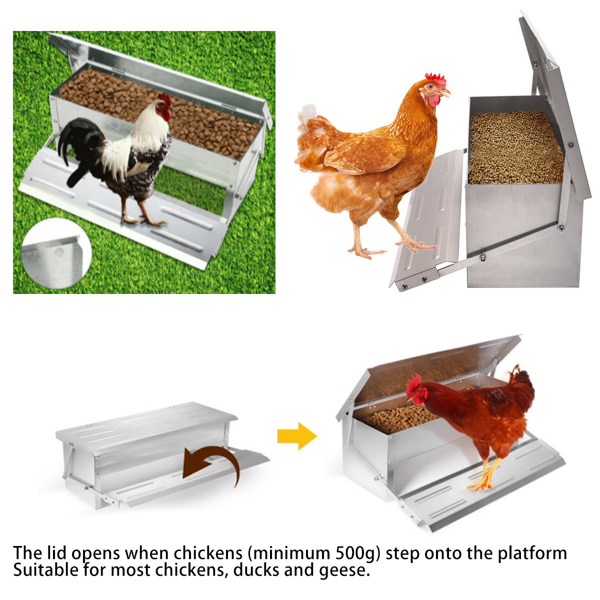 82L-Automatic-Aluminium-Chicken-Treadle-Feeder-Self-Opening-1711530-2