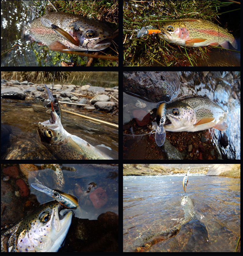 1-Pcs-Fishing-Lure-Outdoor-Hunting-Fishing-Fish-Bait-Fish-Crank-Baits-Fishiing-Tools-1418087-2