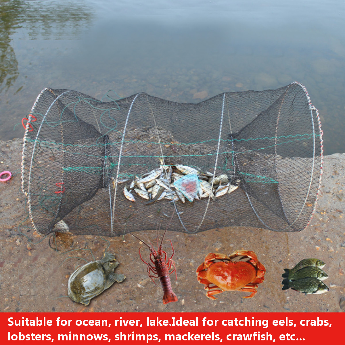ZANLURE-25-50cm-Diameter-Folding-Fishing-Net-Cage-Crabs-Fish-Crawdad-Shrimp-Bait-Trap-Cast-Dip-Case--1813874-4