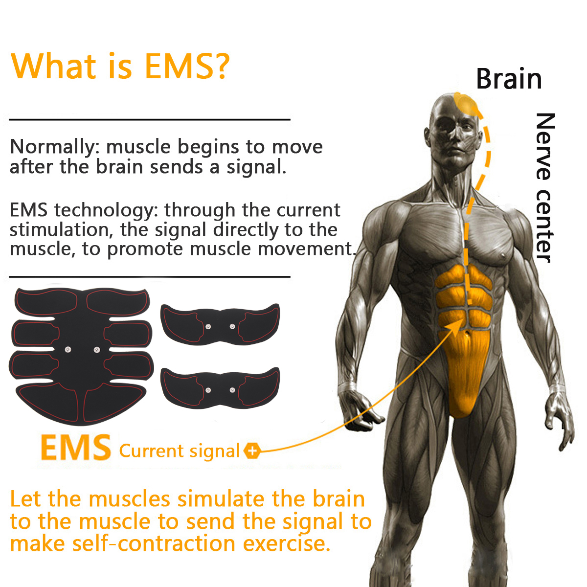 6-Modes-Abdominal-Muscle-Stimulator-Set-ABS-EMS-Trainer-Body-Fitness-USB-Rechargeable-Body-Shaping-E-1711765-8