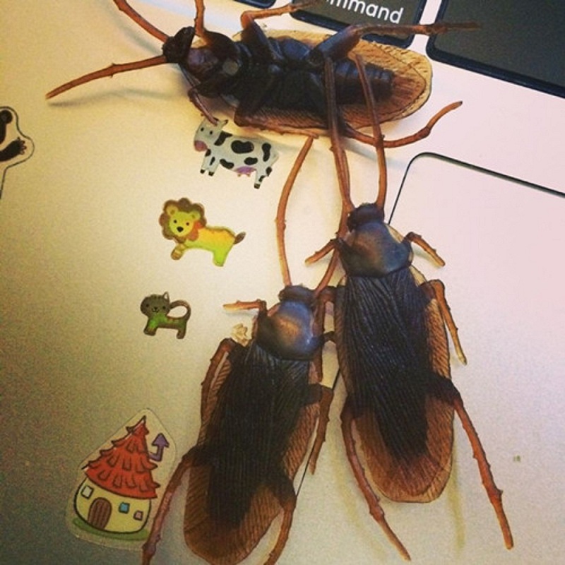 1PC-Prank-Funny-Trick-Joke-Toys-Lifelike-Model-Simulation-Cockroach-Kids-Children-Magic-Props-1227578-7