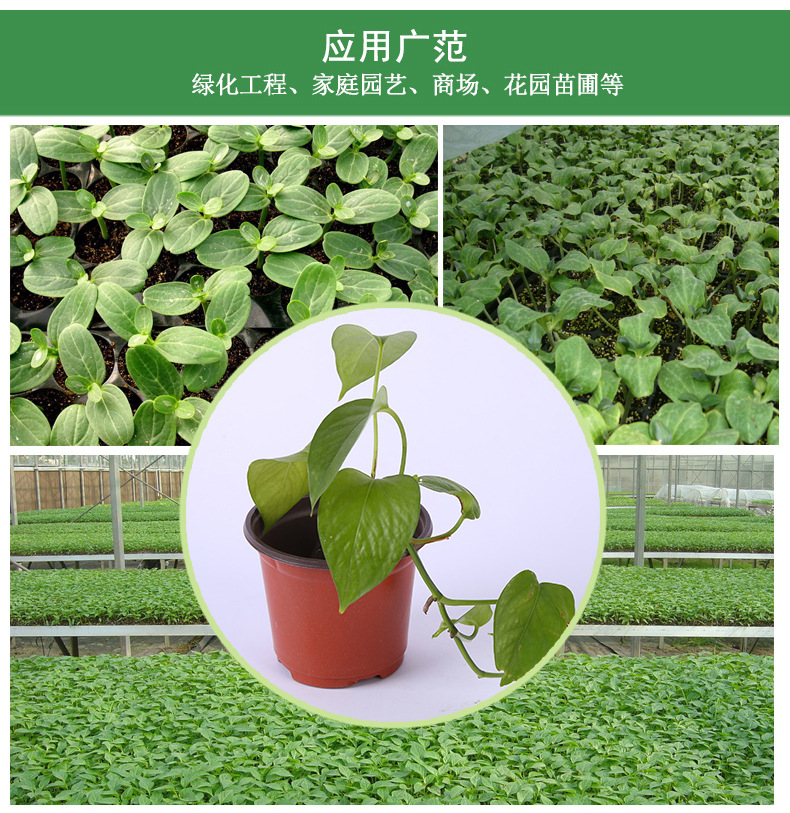 130PCS-Plastic-Plant-Flower-Pots-4-Succulent-Nursery-Drainage-Holes-Pot-1938115-2