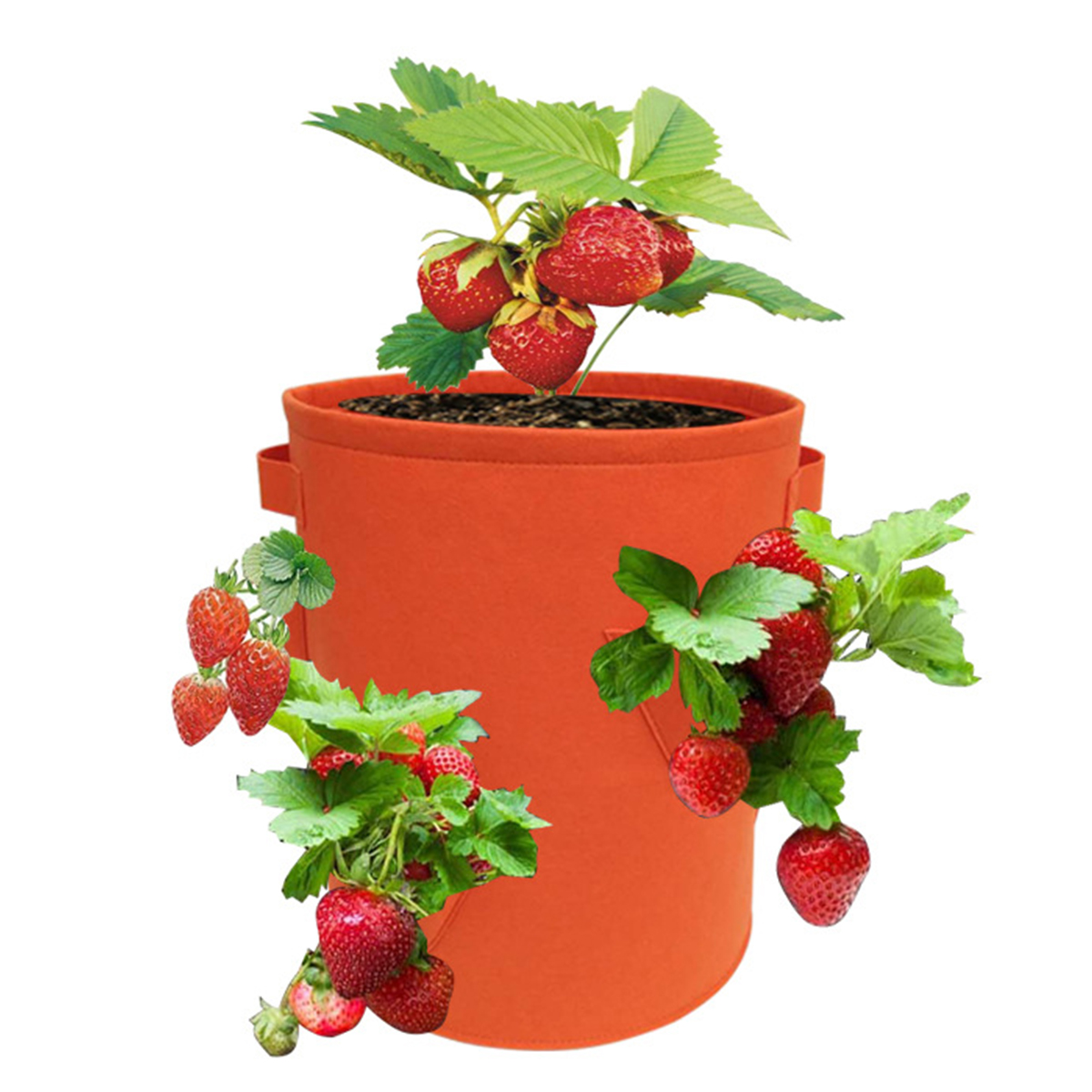 5710-Gallon-Strawberry-Planting-Grow-Bag-Plant-Bags-with-368-Side-Pockets-1751911-9