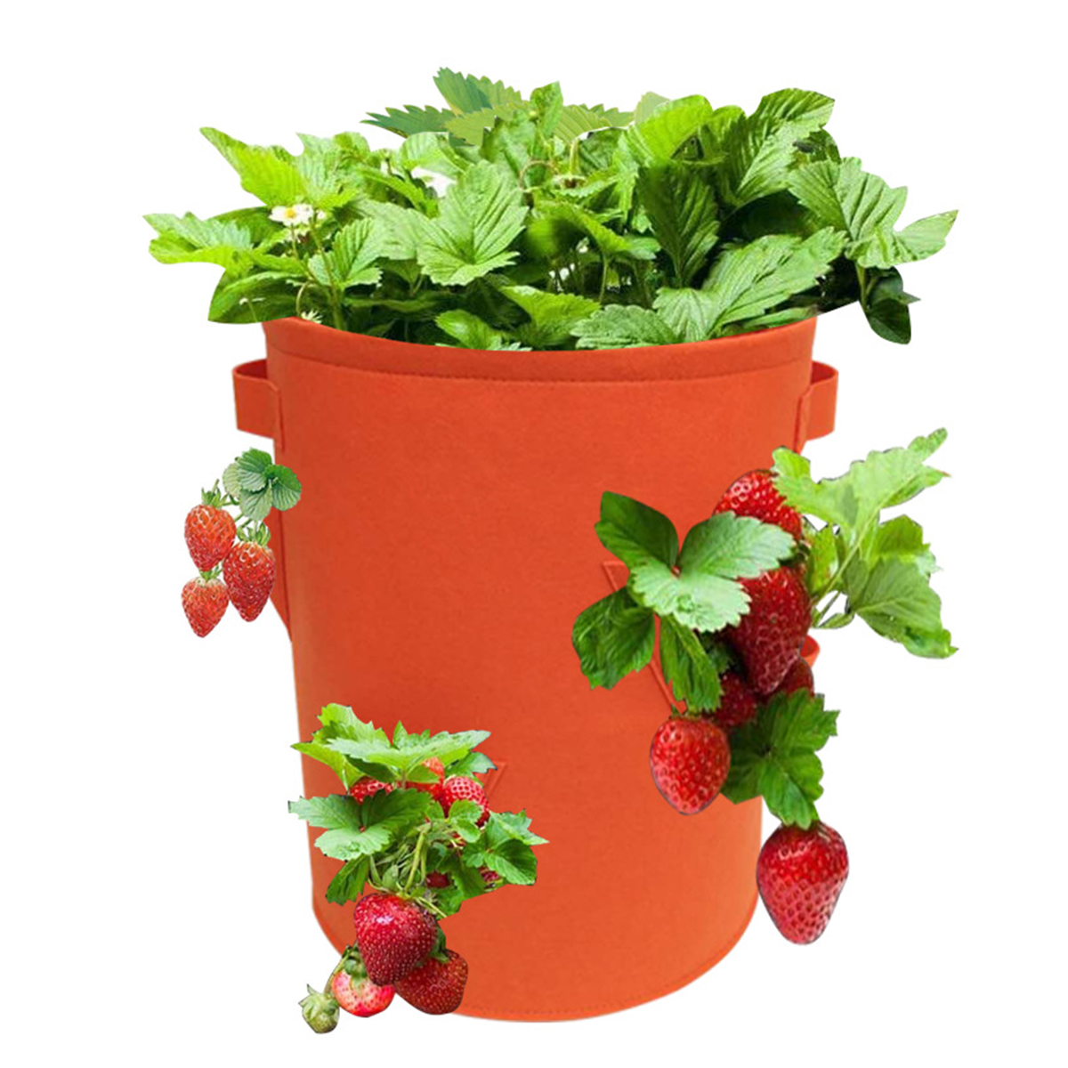5710-Gallon-Strawberry-Planting-Grow-Bag-Plant-Bags-with-368-Side-Pockets-1751911-10