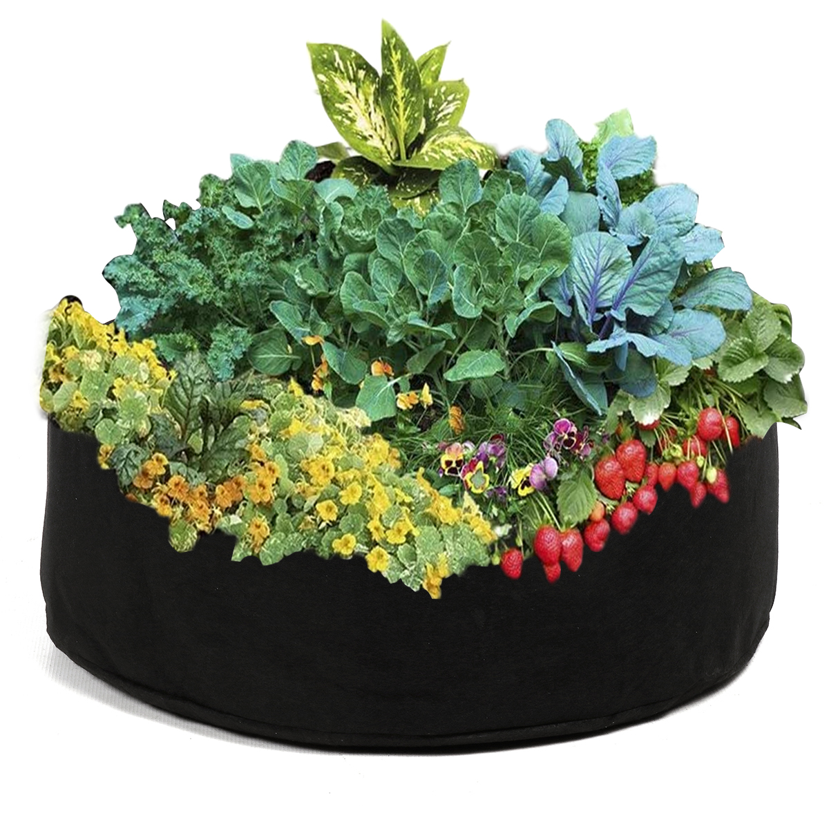 80x30cm-Planting-Grow-Bag-Raised-Plant-Bed-Garden-Flower-Planter-Vegetable-Bag-1684793-5