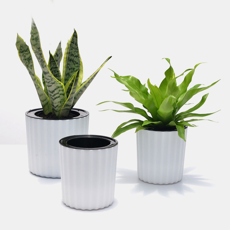 Automatic-Water-Absorption-Creative-Succulent-Plant-Hydroponic-Potted-Round-Plastic-Plastic-Flower-P-1705020-1