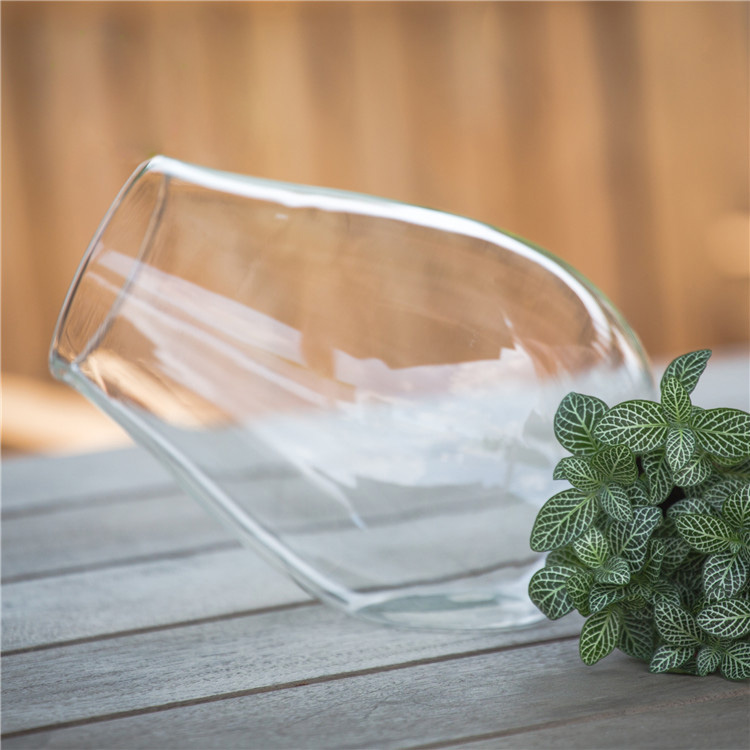 Cannon-Shaped-DIY-Moss-Micro-Landscape-Glass-Bottle-Succulent-Plants-Vase-Home-Decoration-1063246-5