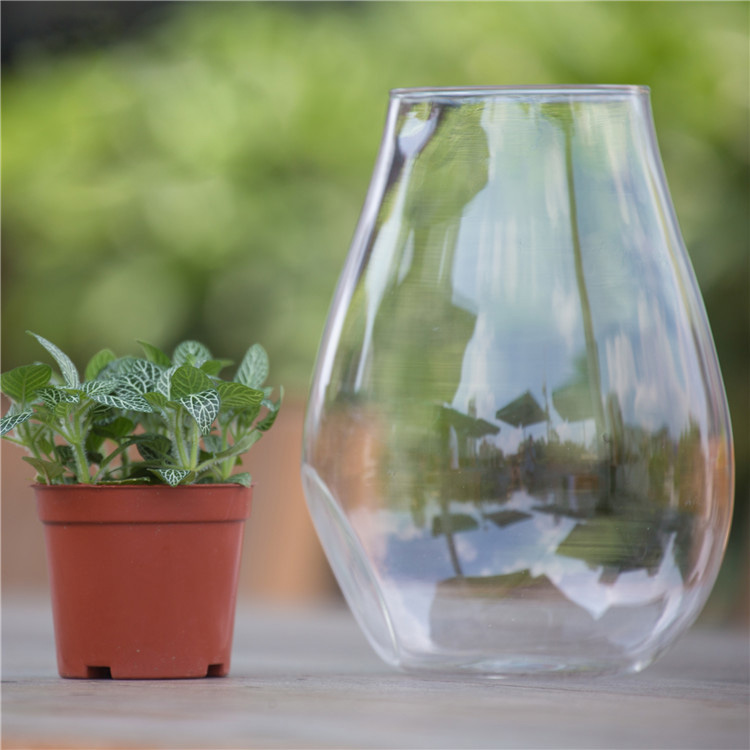 Cannon-Shaped-DIY-Moss-Micro-Landscape-Glass-Bottle-Succulent-Plants-Vase-Home-Decoration-1063246-6