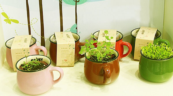 Ceramics-DIY-Mini-Coffee-Cup-Potted-Plant-Office-Desktop-Plant-Decor-963617-1