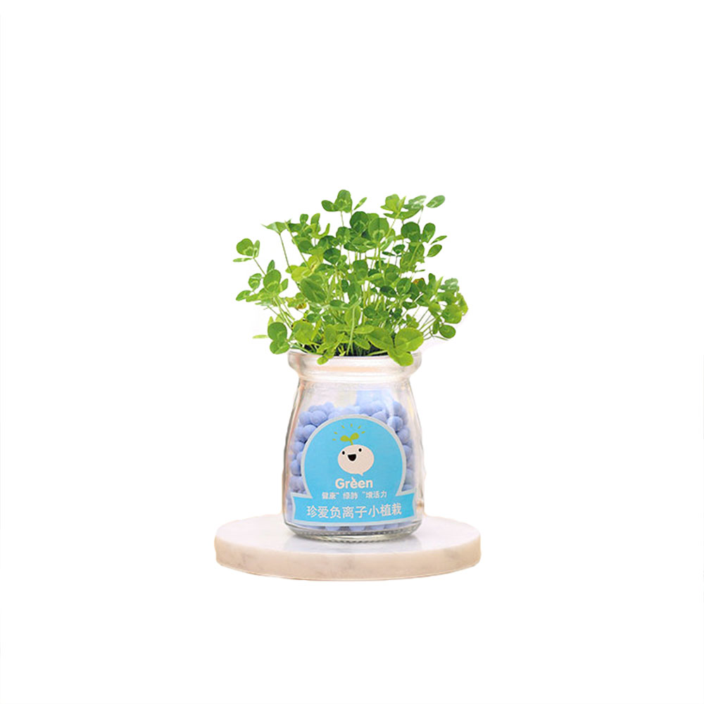 Creative-DIY-Negative-Ion-Hydroponic-Potted-Desktop-Water-Pebble-Carbon-Ball-Anti-radiation-Mini-Flo-1481538-6