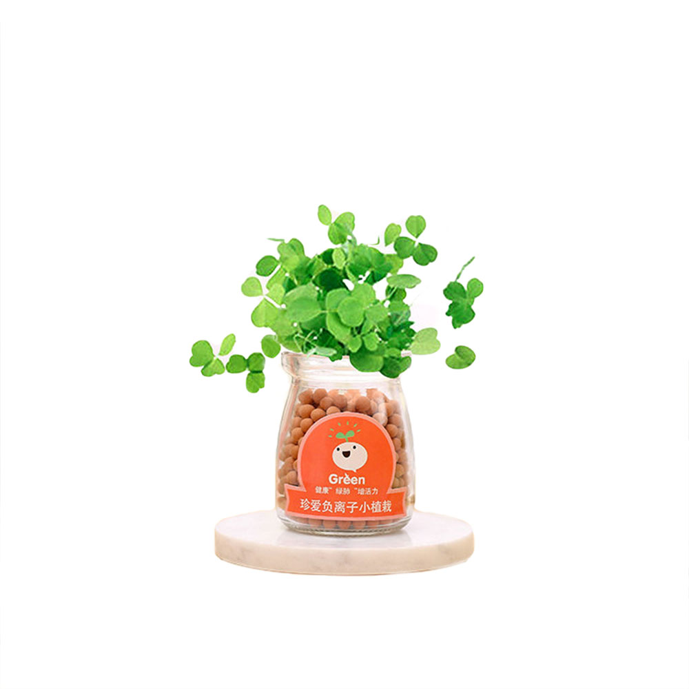 Creative-DIY-Negative-Ion-Hydroponic-Potted-Desktop-Water-Pebble-Carbon-Ball-Anti-radiation-Mini-Flo-1481538-8