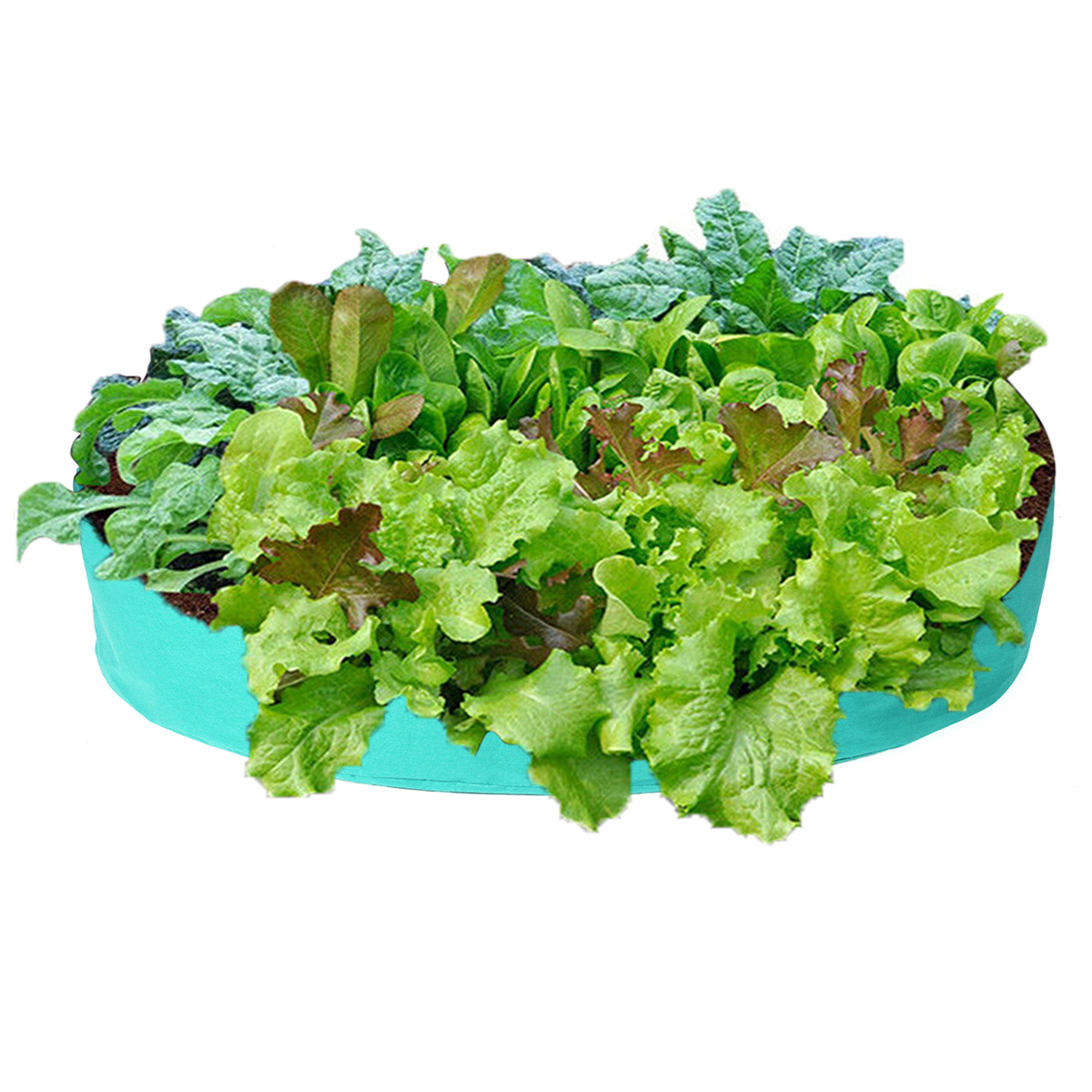 Foldable-Round-Planting-Container-Nursery-Flower-Planter-Vegetable-Flowers-Planting-Grow-Bag-1753373-6
