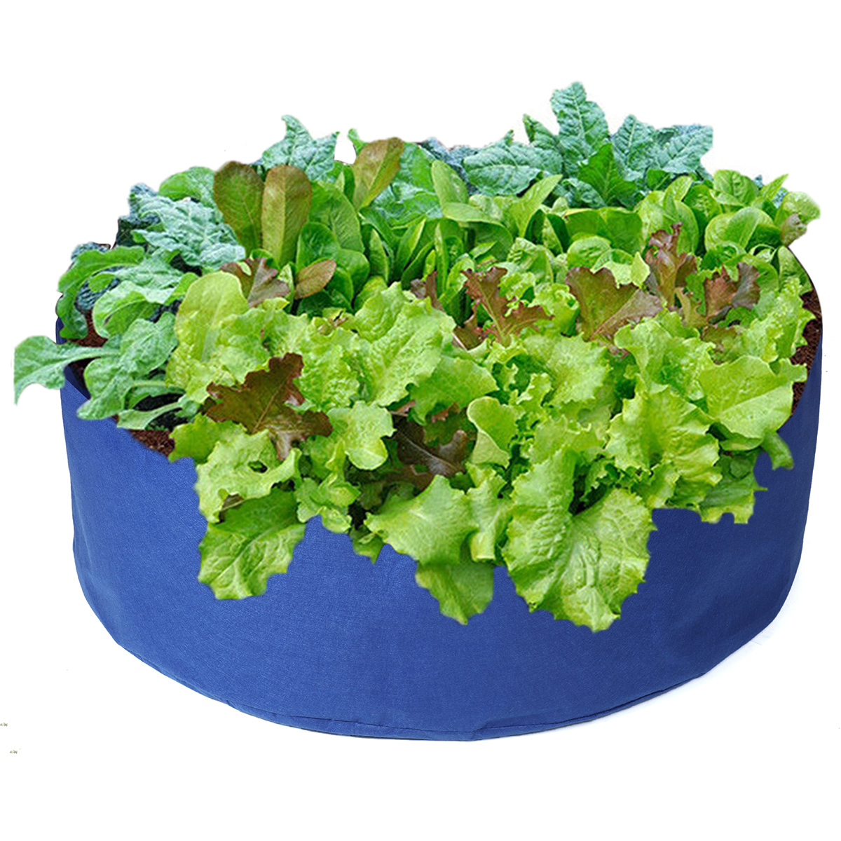 Foldable-Round-Planting-Container-Nursery-Flower-Planter-Vegetable-Flowers-Planting-Grow-Bag-1753373-8