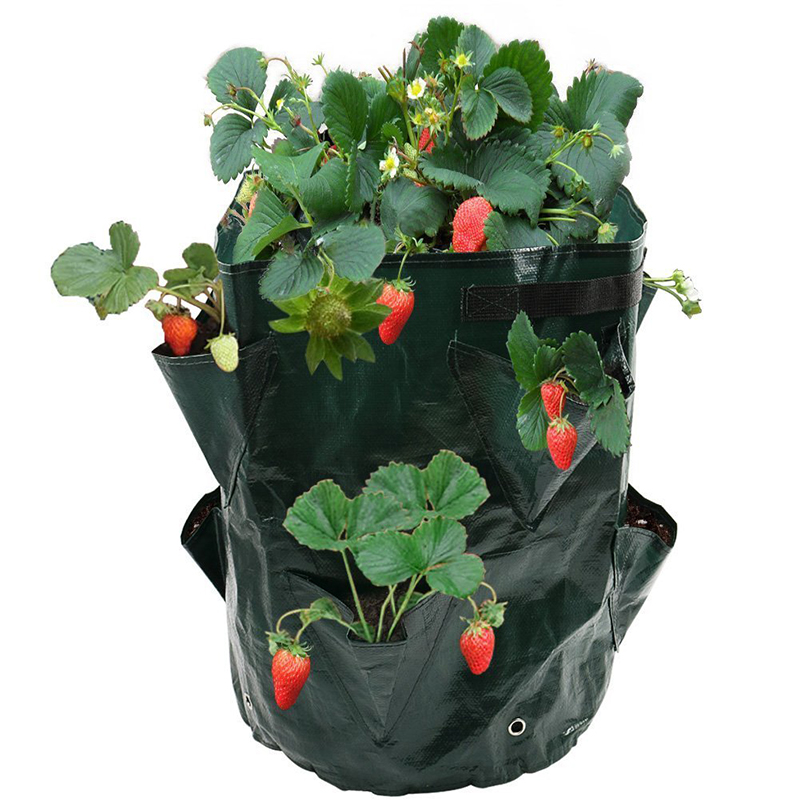 Garden-8-Pockets-Strawberry-Planter-Yard-Balcony-Vegetable-Fruit-Herbs-Planting-Growing-Bag-1273471-6