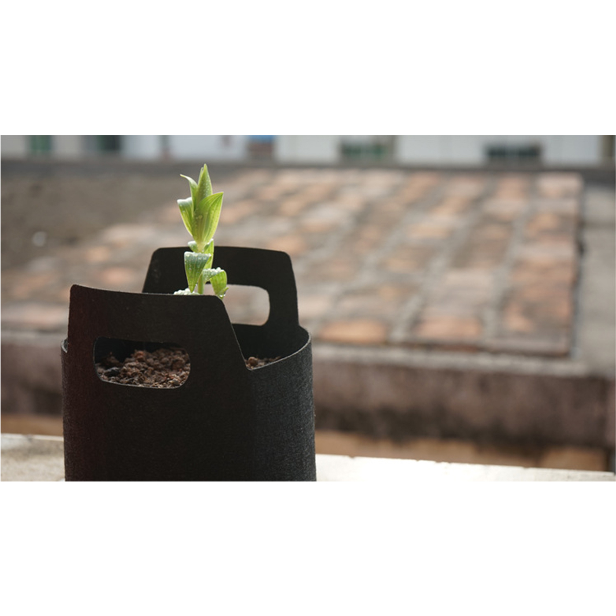 Grow-Bag-Fabric-Planter-Pot-Potato-Tomato-Flower-Fruit-Vegetable-Reusable-Pouch-1497874-6