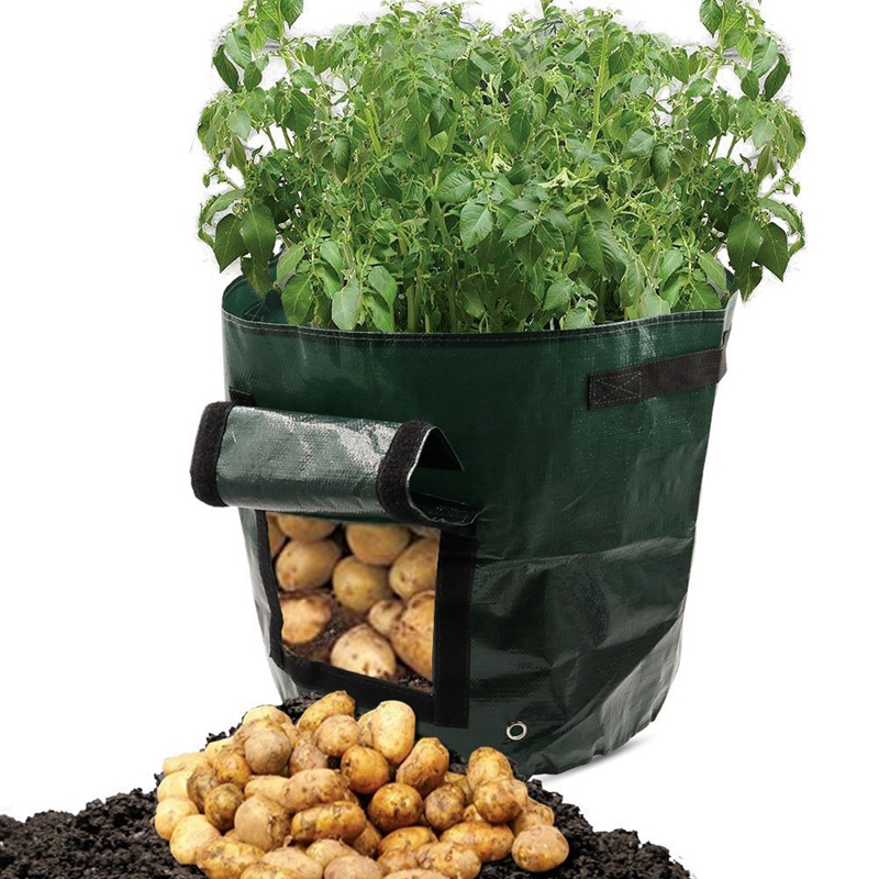 Outdoor-Vertical-Garden-Hanging-Open-Style-Vegetable-Planting-Grow-Bag-Potato-Strawberry-Planter-Bag-1576630-2