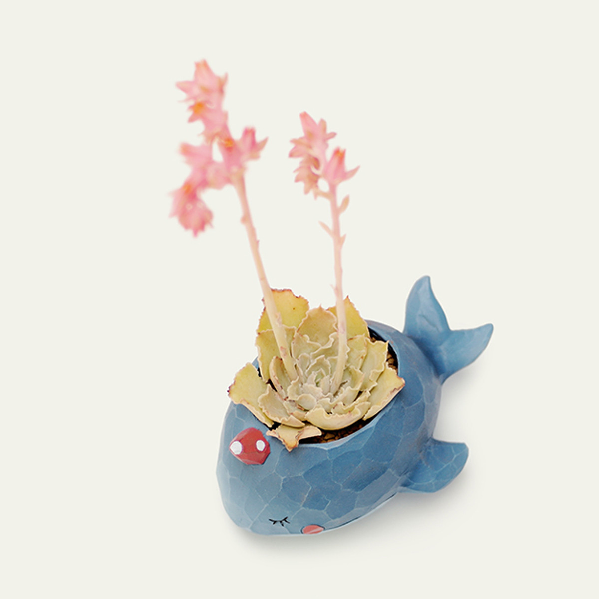 Whale-Planter-Resin-Potted-Plants-Succulent-Cactus-Flower-Pot-Craft-Ornaments-1473194-8