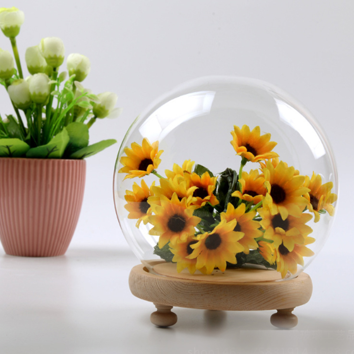 Round-Decorative-Transparent-Glass-Dome-with-Wooden-Base-Cloche-Bell-Jar-1454923-3