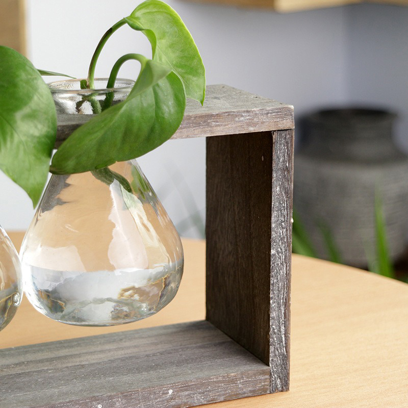 Wood-and-Glass-Creative-Hydroponic-Living-Room-Decoration-Flower-Pot-Plant-Vase-1412584-7