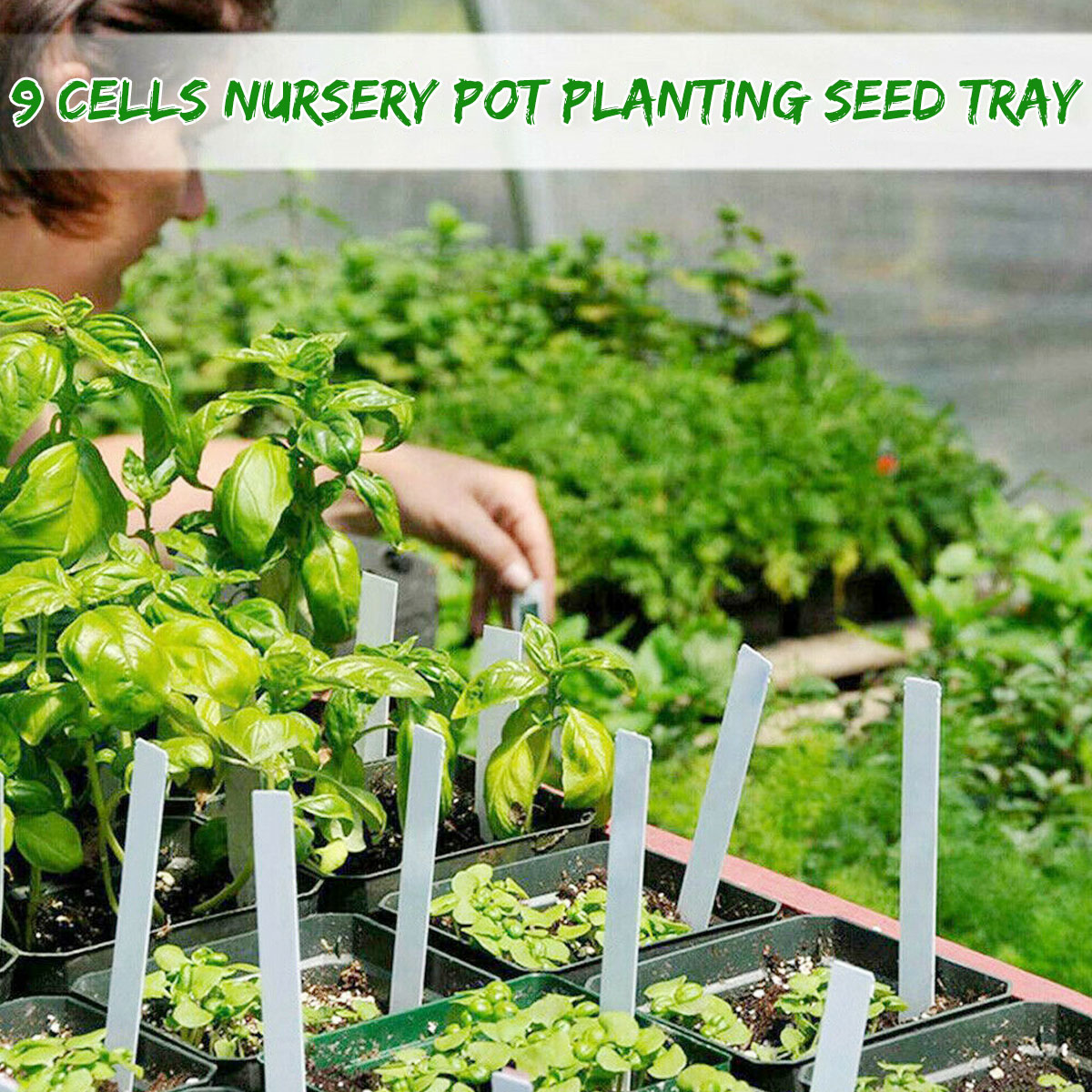 9-Holes-Plastic-Planting-Box-Set-Nursery-Pot-Plant-Grow-Garden-Germination-Kit-1726130-3