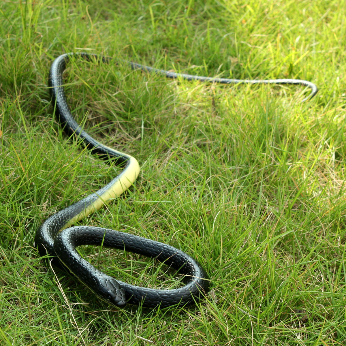 Artificial-Realistic-Snake-Lifelike-Real-Scary-Rubber-Toys-Prank-Party-Joke-Halloween-1206058-4