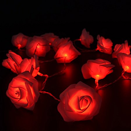 Battery-Powered-20LEDs-Red-Purple-Rose-Flower-Indoor-Fairy-String-Light-for-Christmas-Wedding-Patio-1210159-2
