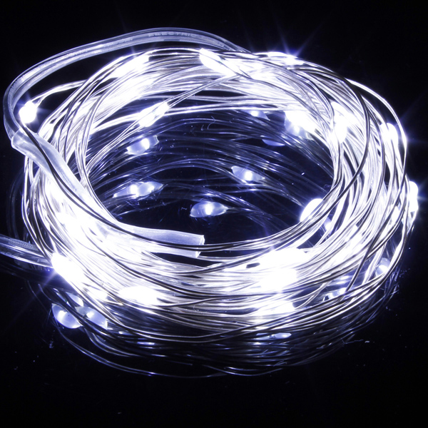 Warm-WhiteWhite-10M-100LED-Copper-Wire-LED-String-Lights-Lamp-12V-927282-1