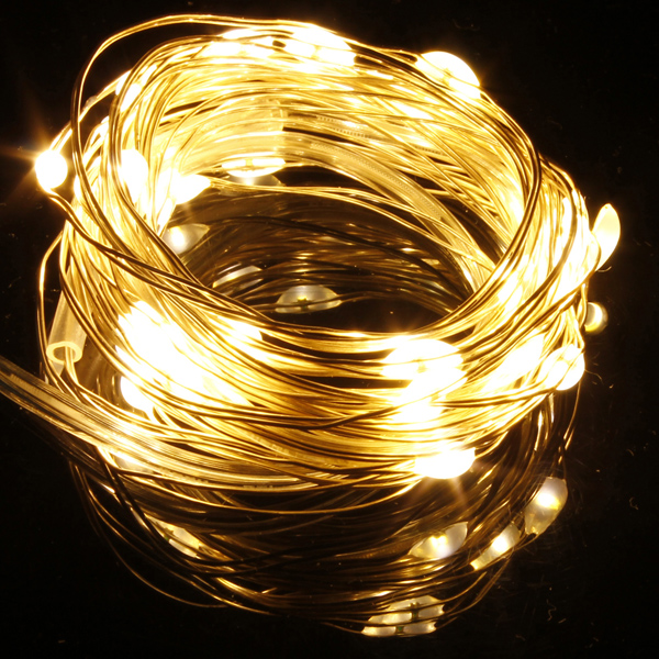 Warm-WhiteWhite-10M-100LED-Copper-Wire-LED-String-Lights-Lamp-12V-927282-2