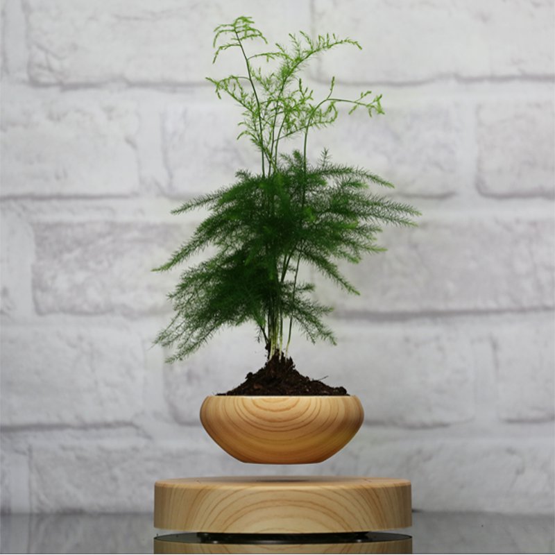 Magnetic-Suspended-Potted-Plant-Wood-Grain-Round-LED-Indoor-Pot-Home-Office-Decoration-1209555-5