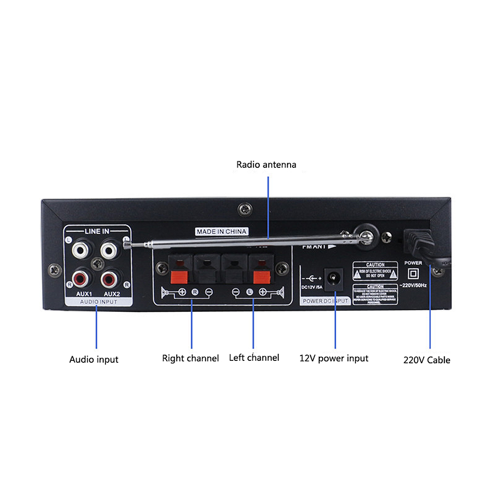 BT309E--Amplifier-220V-60W-Home-Audio-High-Power-Mono-Amplifier-Amp-1970215-3