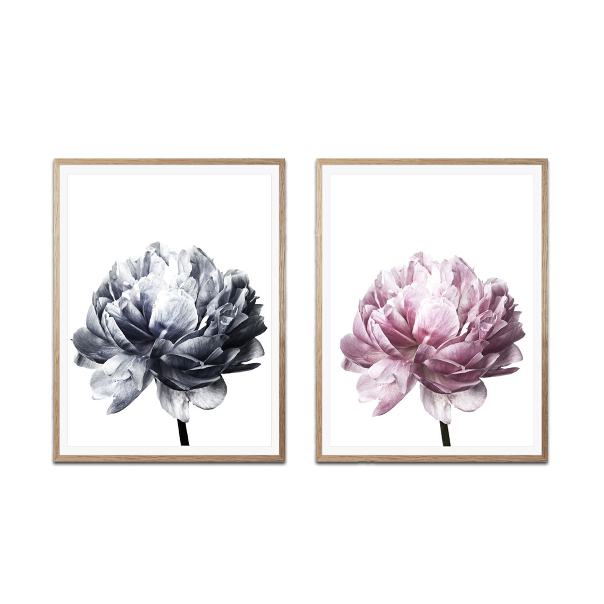 20x3030x40cm-Flower-Modern-Wall-Art-Canvas-Paintings-Picture-Home-Decor-Mural-Poster-with-Frame-1632681-4