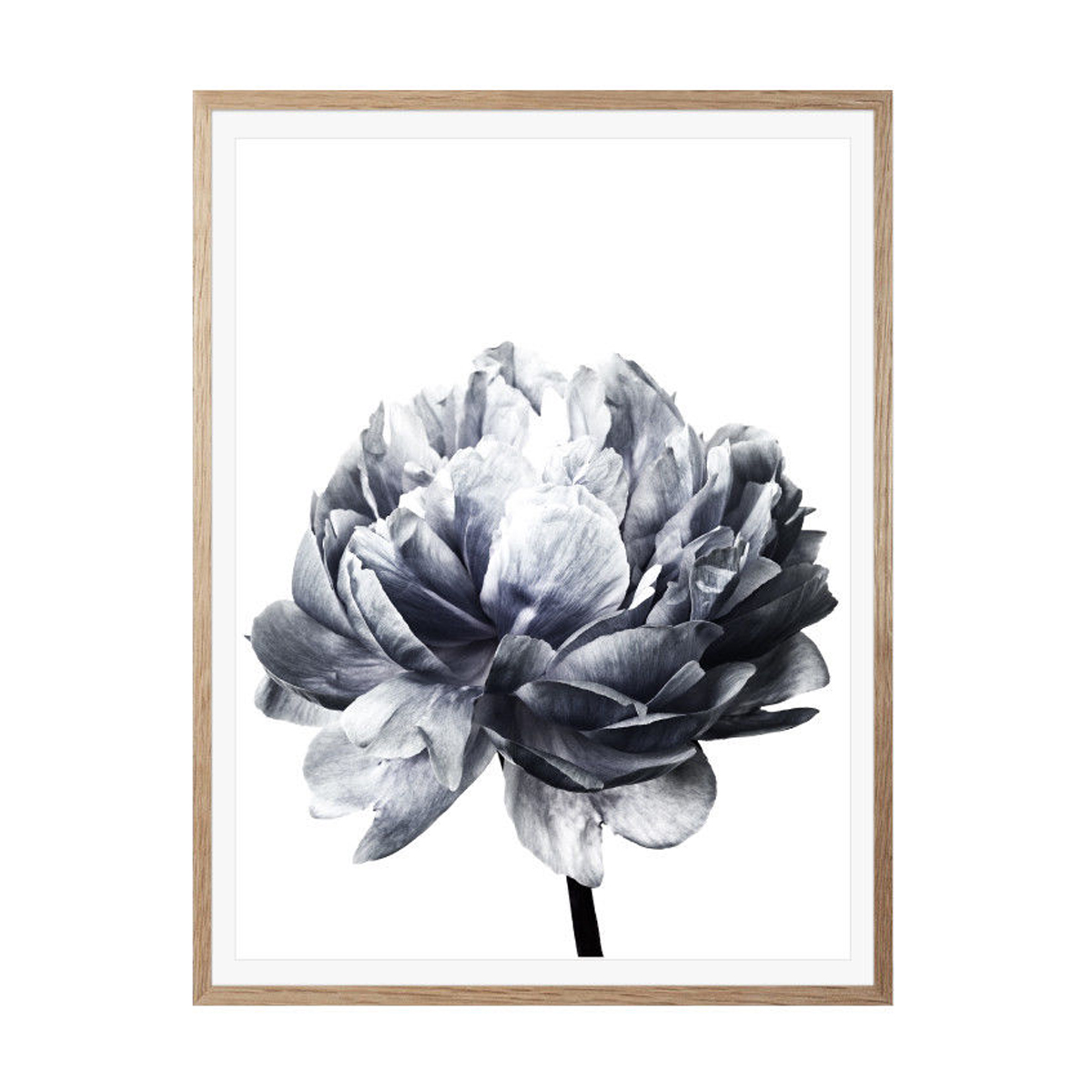 20x3030x40cm-Flower-Modern-Wall-Art-Canvas-Paintings-Picture-Home-Decor-Mural-Poster-with-Frame-1632681-5