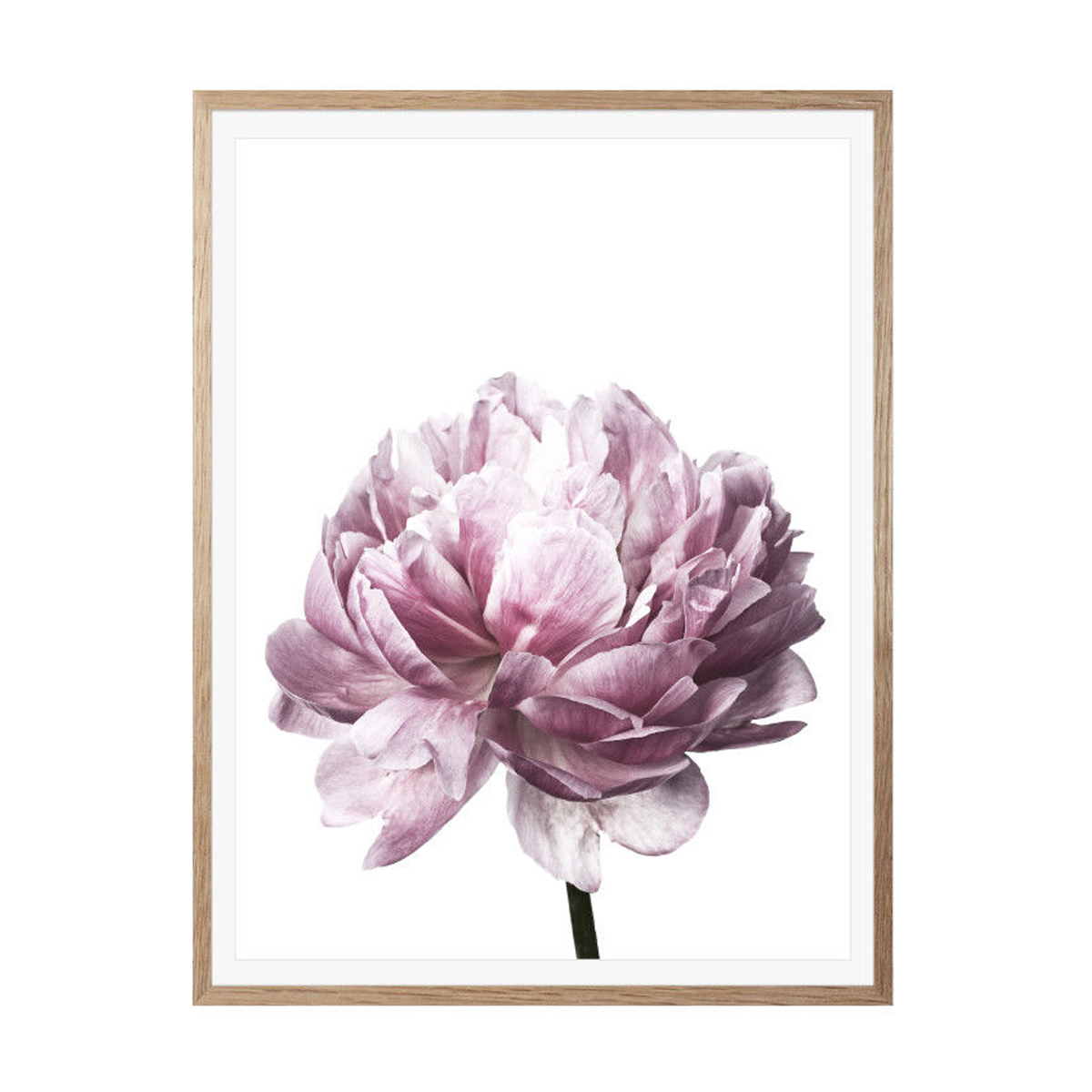 20x3030x40cm-Flower-Modern-Wall-Art-Canvas-Paintings-Picture-Home-Decor-Mural-Poster-with-Frame-1632681-6