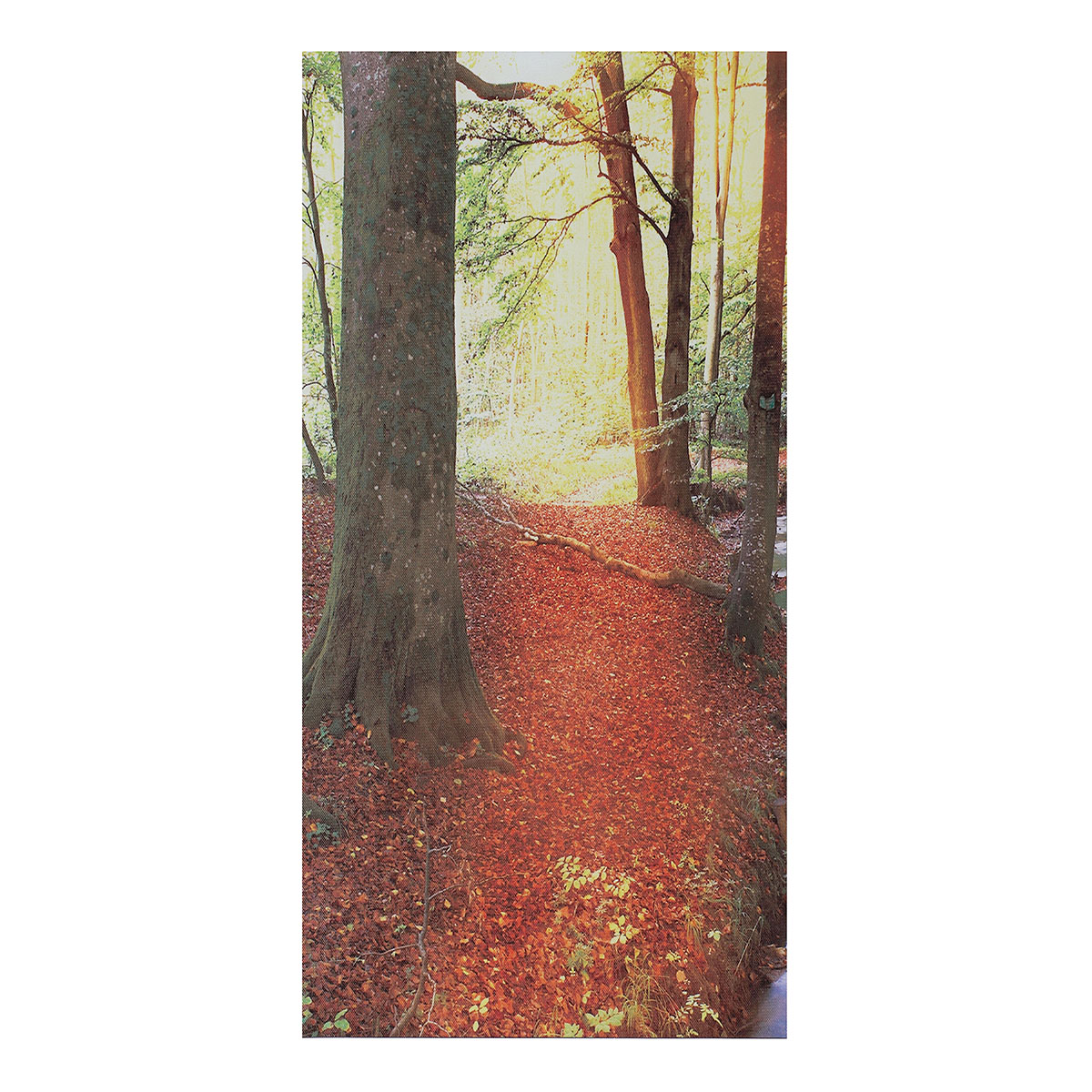 5Pcs-Modern-Autumn-Forest-Canvas-Print-Paintings-Poster-Wall-Art-Picture-Home-Decor-Unframed-1538687-9