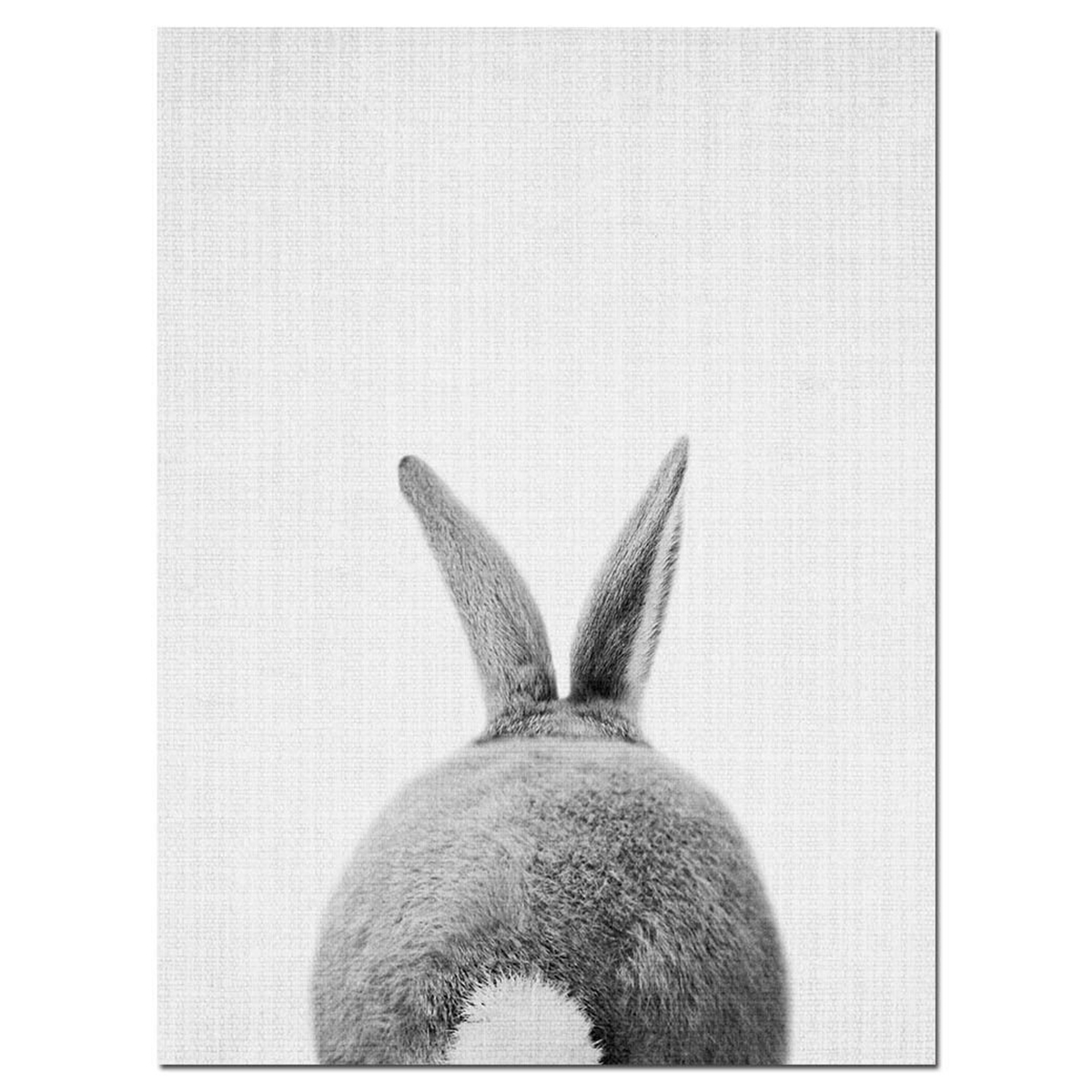 Cute-Rabbit-Canvas-Wall-Art-Poster-Animal-Print-Paintings-Baby-Nursery-Room-1641031-4