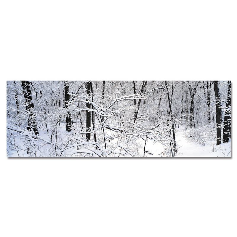 DYC-10494-Single-Spray-Oil-Paintings-Photography-Forest-Snow-Scene-Painting-Wall-Art-For-Home-Decora-1541444-4