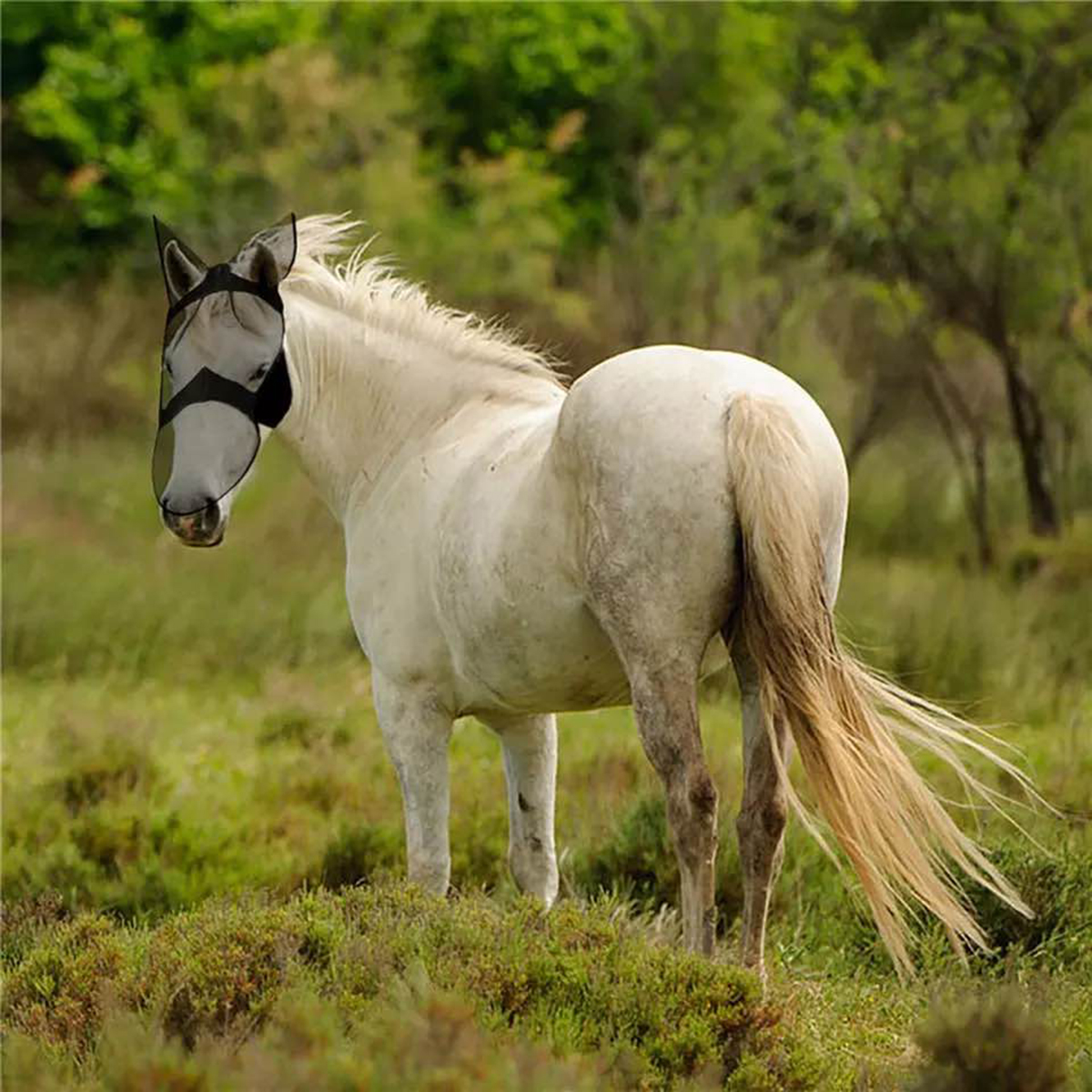 MLXL-Breathable-Horse-Fly-Mask-Mesh-Ears-Nose-Full-Face-for-Horse-Equipment-1686733-2