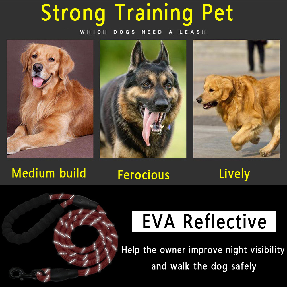 12M-Durable-Nylon-Dog-Harness-Walking-Running-Leashes-Training-Rope-Belt-For-Small-Medium-Large-Dogs-1703266-2