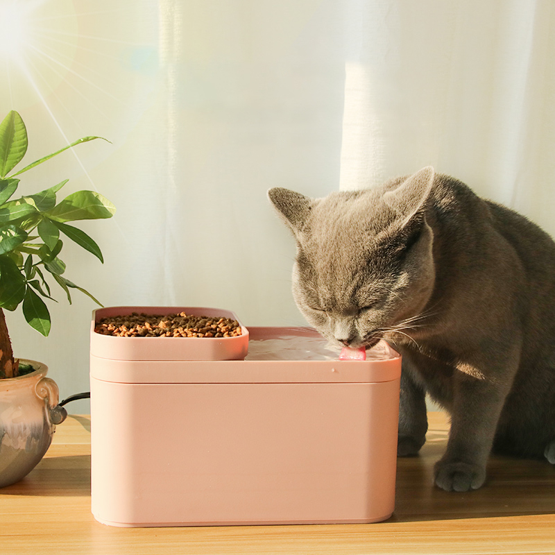 2L-Pet-Automatic-Filter-Water-Dispenser-Dog-Cat-Water-Food-Bowl-PP-Hunting-Dog-Feeder-1556925-10