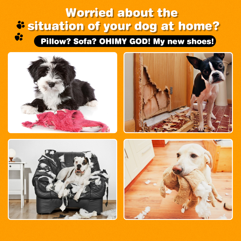 4-Pcs-Dog-Chew-Rope-Strong-Knot-Ball-Pet-Tooth-Cleaning-Rope-Dog-Toys-Kit-1882237-5