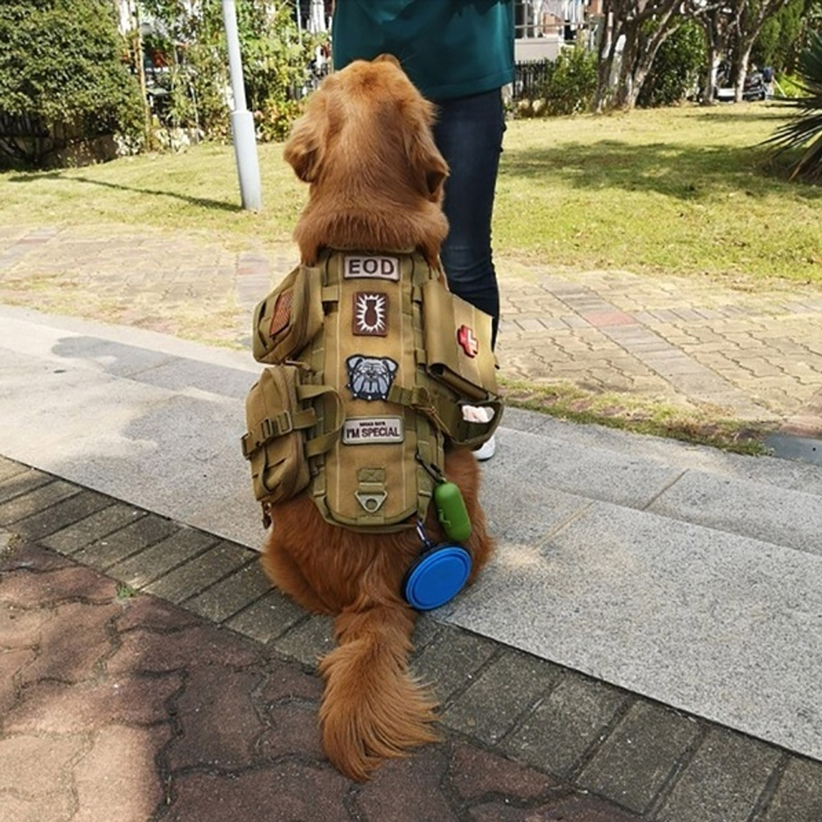600D-Nylon-Tactical-Dog-Vests-Military-Dog-Clothes-with-Storage-Bag-Training-Load-Bearing-Harness-1817367-9