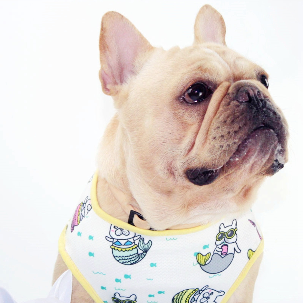 Dog-Clothes-Comfortable-Breathable-Summer-Cooling-Pet-Clothes-Pet-T-shirt-SMLXL-1581027-5