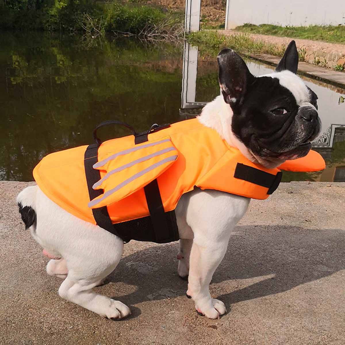 Dog-Life-Jacket-Pet-Safety-Life-Vests-Buoyancy-Aid-Float-Reflective-Swimming-Safety-Dog-Vest-1724851-9