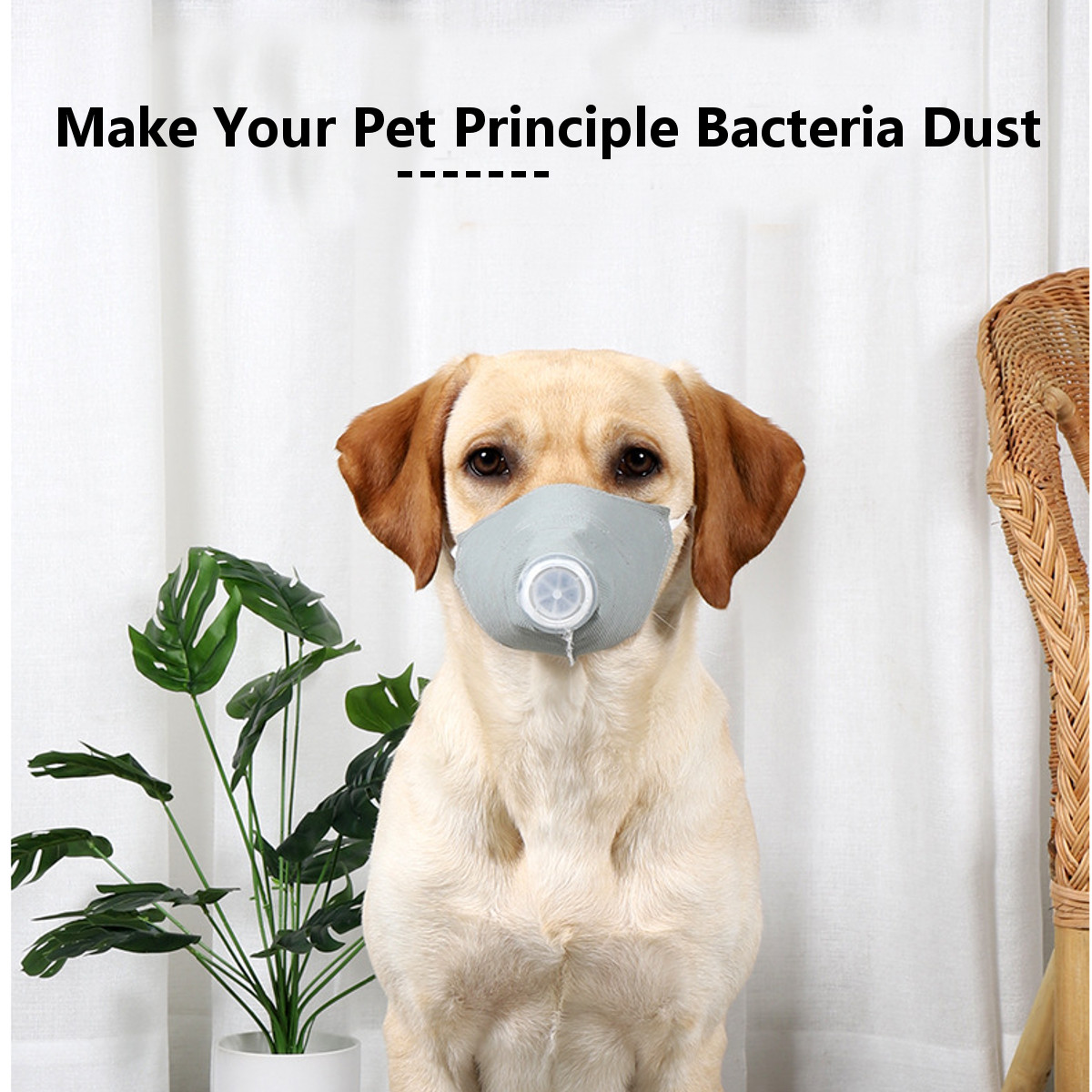 Doton-Epidemic-Supplies-Dog-Dustproof-Haze-Mask-Epidemic-Mask-Protective-Dog-Mouth-Cover-Pet-Dog-Mas-1660856-5