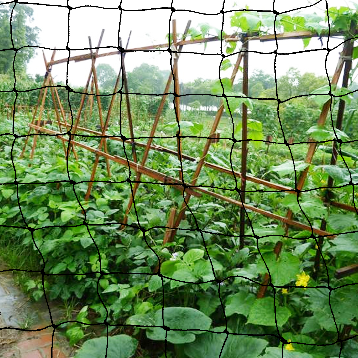 Fruit-Net-Flower-Vegetables-Plants-Protect-Cover-Nylon-Bird-Net-Outdoor-1717817-11