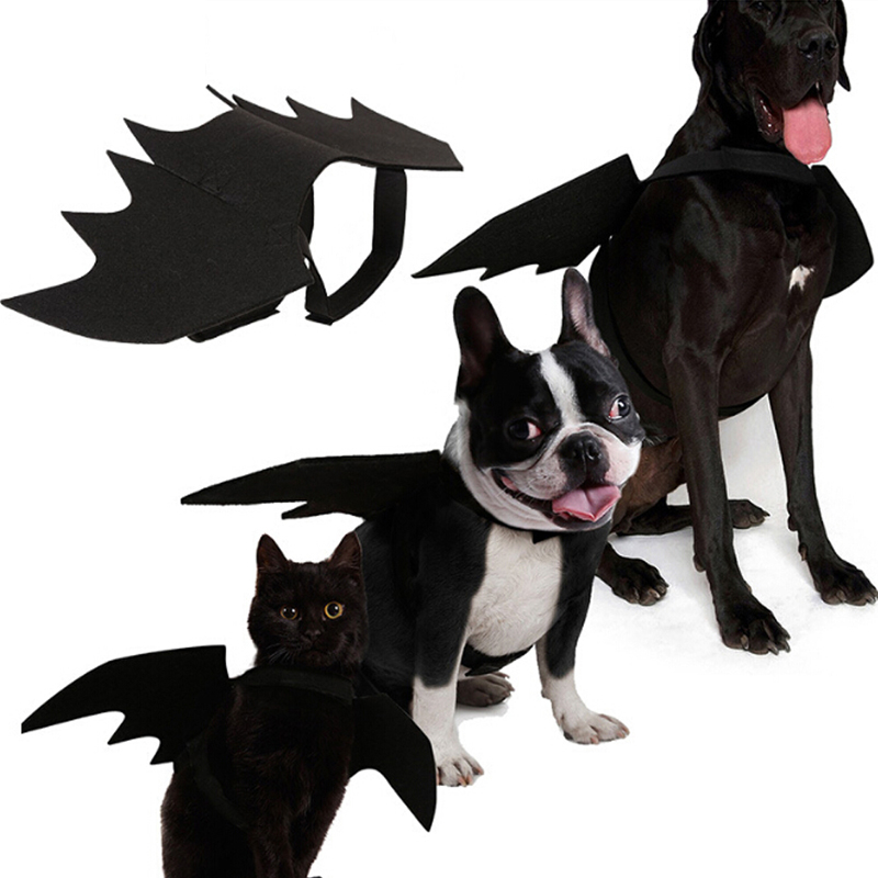 Halloween-Cat-Bat-Wings-Collar-Harness-Decor-Puppy-Pet-Cat-Black-Bat-Dress-Up-Funny-Wing-Cat-Clothes-1373618-1