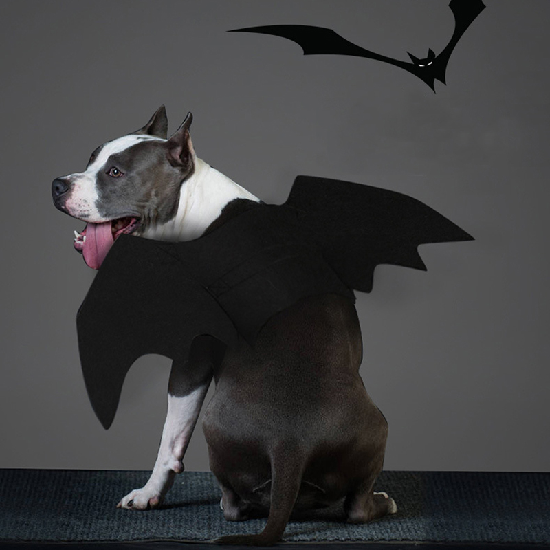 Halloween-Cat-Bat-Wings-Collar-Harness-Decor-Puppy-Pet-Cat-Black-Bat-Dress-Up-Funny-Wing-Cat-Clothes-1373618-10