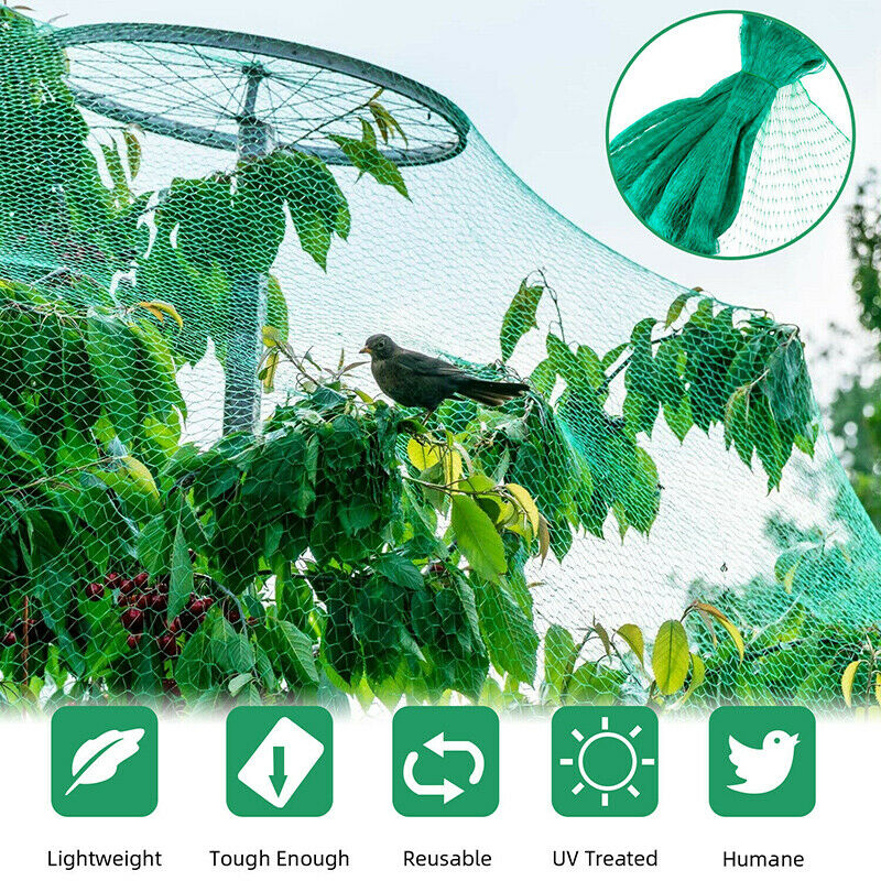 Large-Anti-Bird-Protect-Tree-Nylon-Net-Fruit-Crop-Plant-Garden-Pond-Netting-Mesh-1831837-3