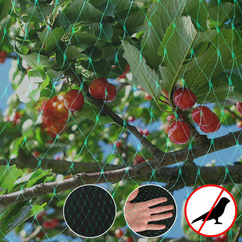 Large-Anti-Bird-Protect-Tree-Nylon-Net-Fruit-Crop-Plant-Garden-Pond-Netting-Mesh-1831837-4