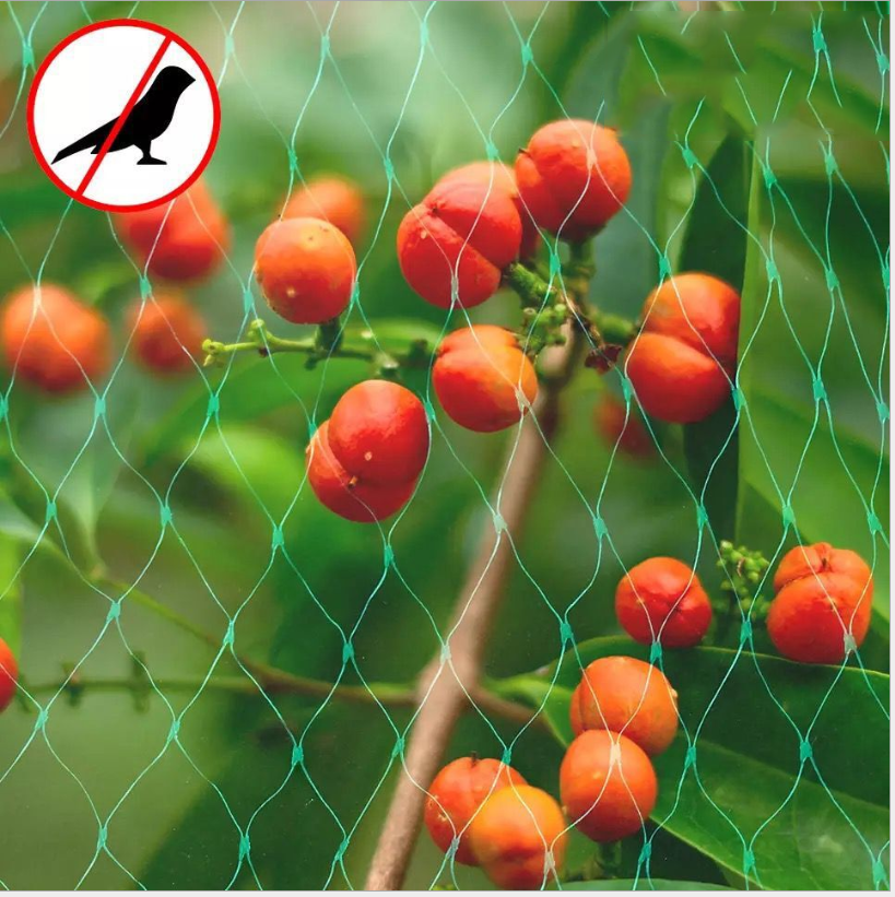 Large-Anti-Bird-Protect-Tree-Nylon-Net-Fruit-Crop-Plant-Garden-Pond-Netting-Mesh-1831837-7
